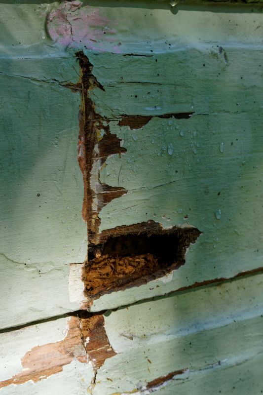 Fall Siding Leak Repairs